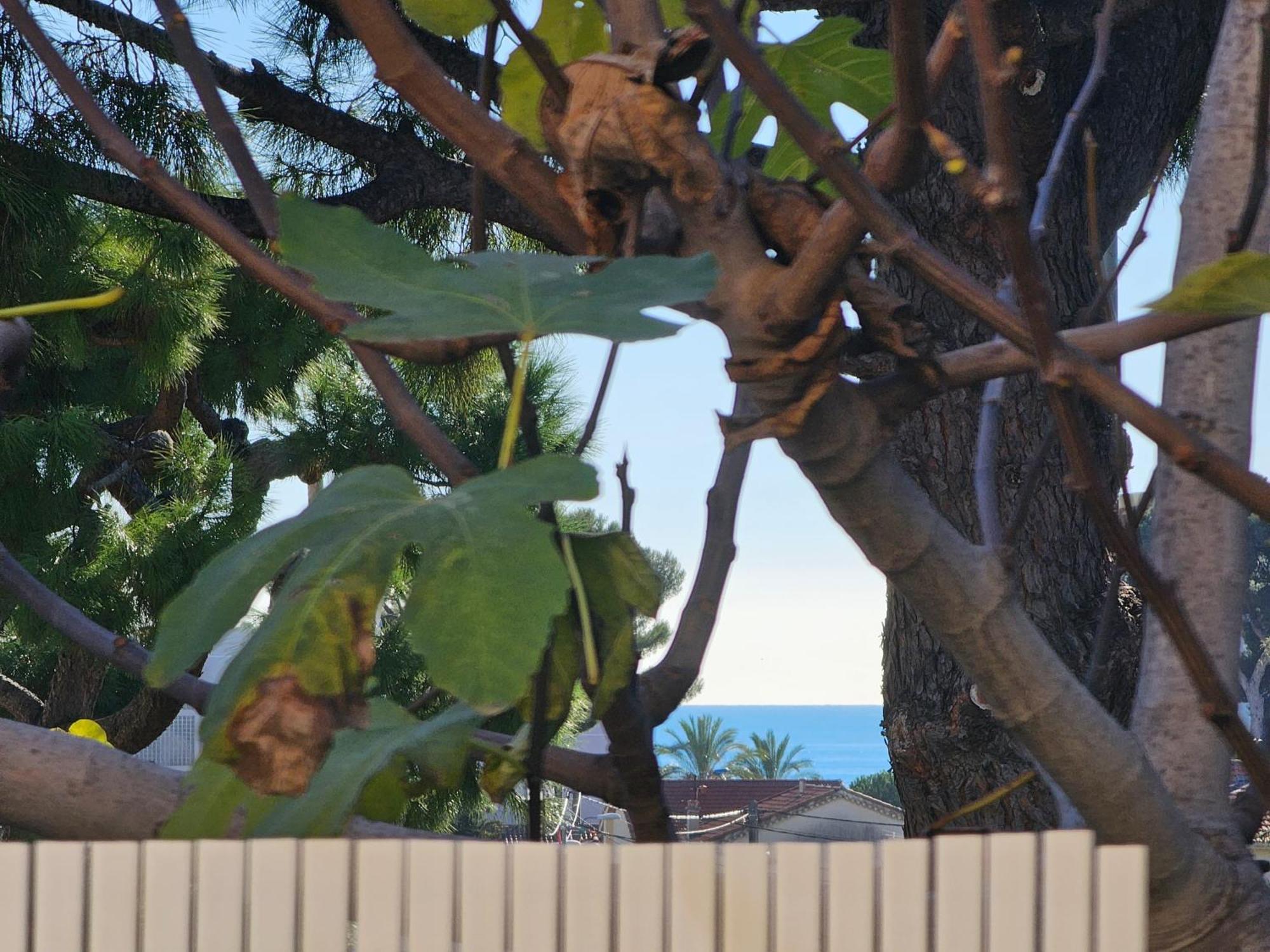 Detente Oceane S2 Proche De La Mer Wifi Clim Καν-συρ-Μερ Εξωτερικό φωτογραφία